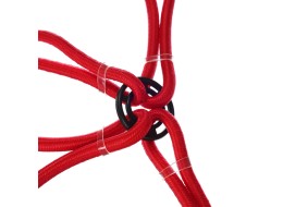 Elastic fastening straps/elastic cords spider CARGO CORD SPIDER BASIC 120, 120 cm, 8 arms