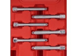 Universal Bearing Removal Set MECHANIC BEARING PULLER 7, 31 pcs