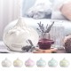 Aroma diffuser Palm white wood 500ml