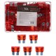 Automotive blade fuse set MECHANIC FUSE SET 10A, 100 pcs