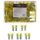 Automotive blade fuse set MECHANIC FUSE SET 20A, 100 pcs