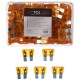 Automotive blade fuse set MECHANIC FUSE SET 5A, 100 pcs