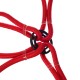 Elastic fastening straps/elastic cords spider CARGO CORD SPIDER BASIC 120, 120 cm, 8 arms