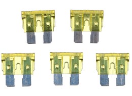 Automotive blade fuse set MECHANIC FUSE SET 20A, 100 pcs