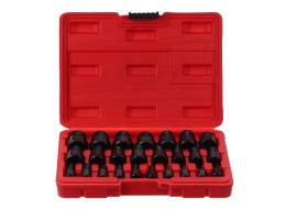 Damaged Screw and Nut Extractor Set MECHANIC NUT REMOVER 2, 25 pcs